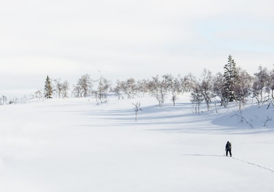 人走在雪白天
